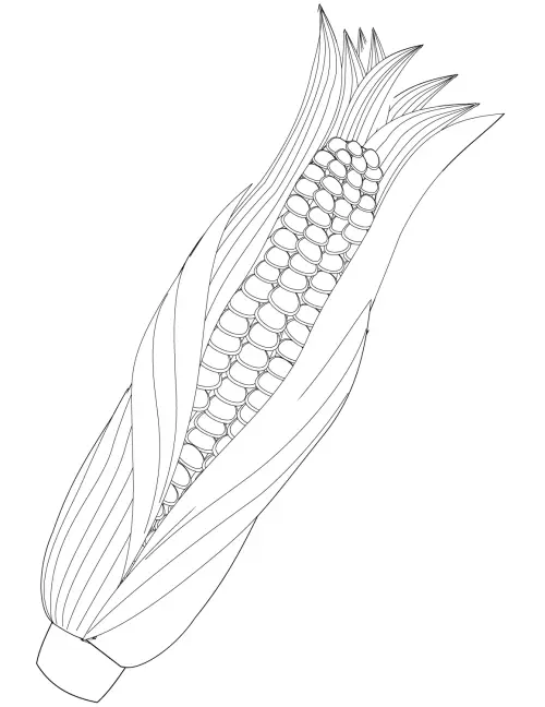 kolorowanka Maize