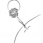 The Secret of the Little Prince's Life