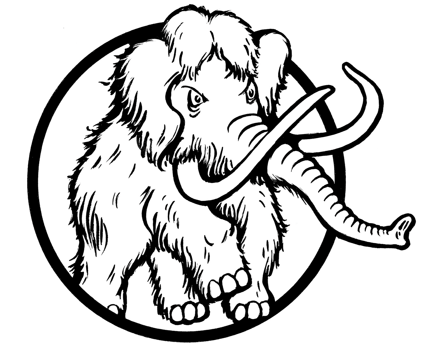 Mamut włochaty