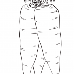 Three Carrots