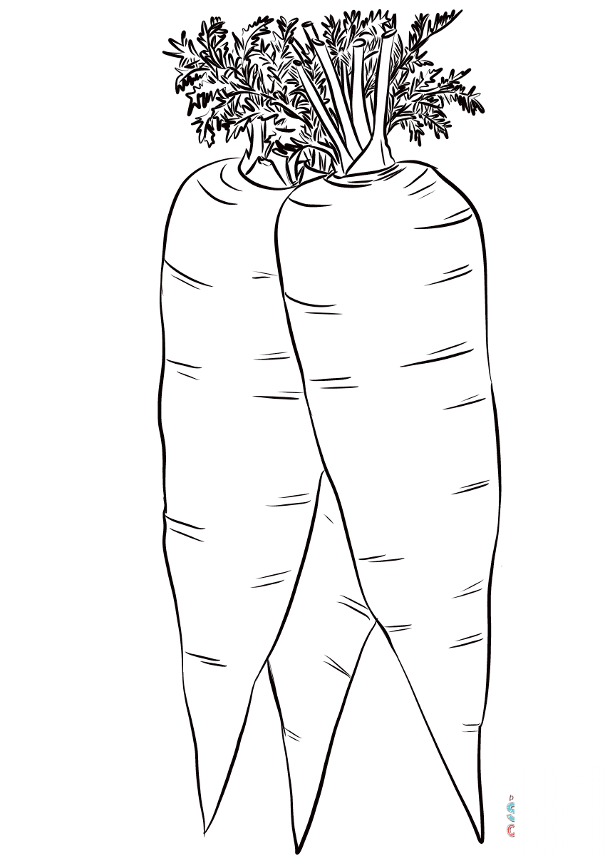 Three Carrots