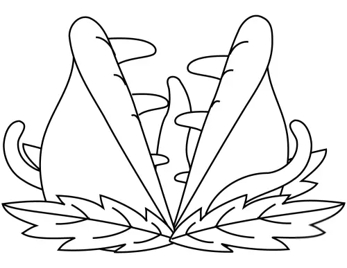 kolorowanka Muchołówka