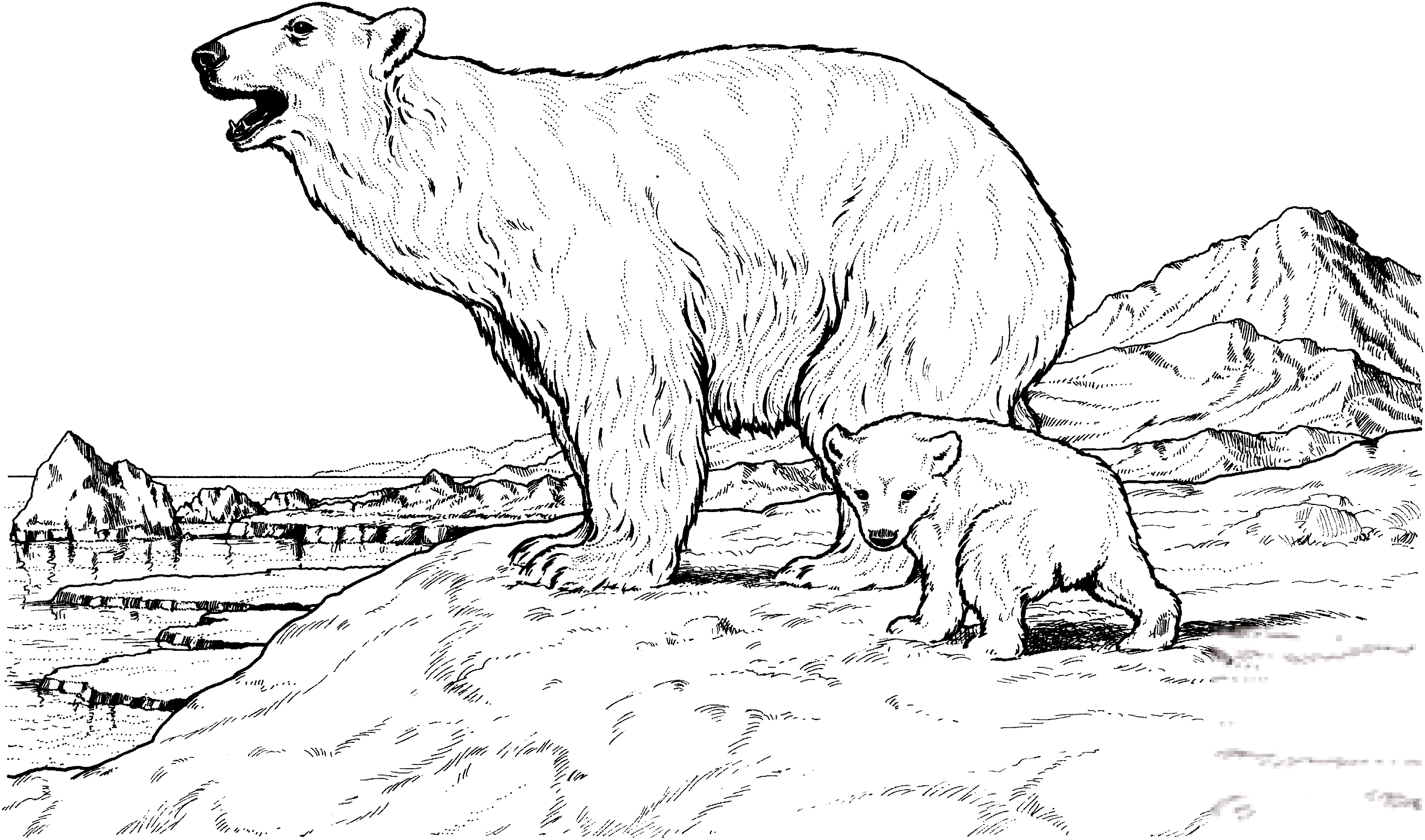 Niedźwiedź polarny - mama z dzieckiem