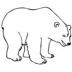 Niedźwiedź polarny