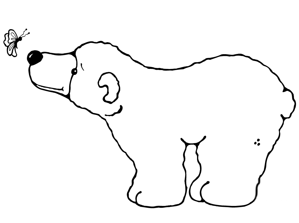 Niedźwiedź polarny z motylem