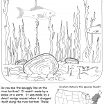 Dwarf Wedge Mussel