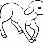 Little Lamb