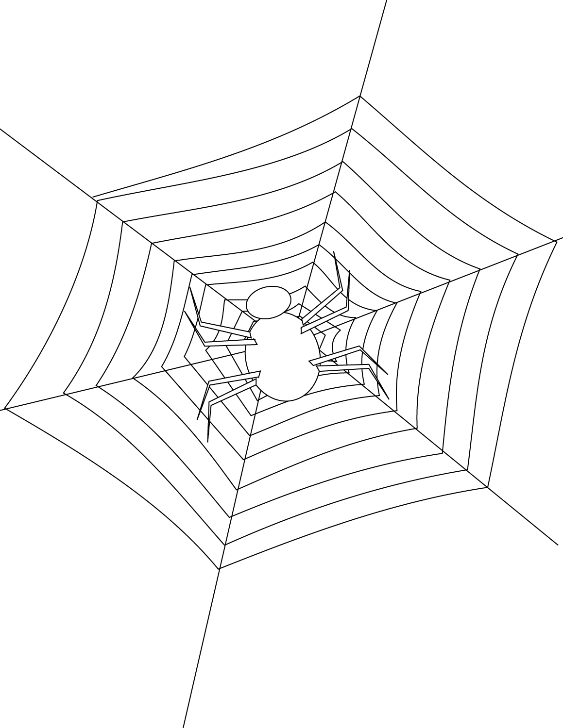 Spider Making Its Web