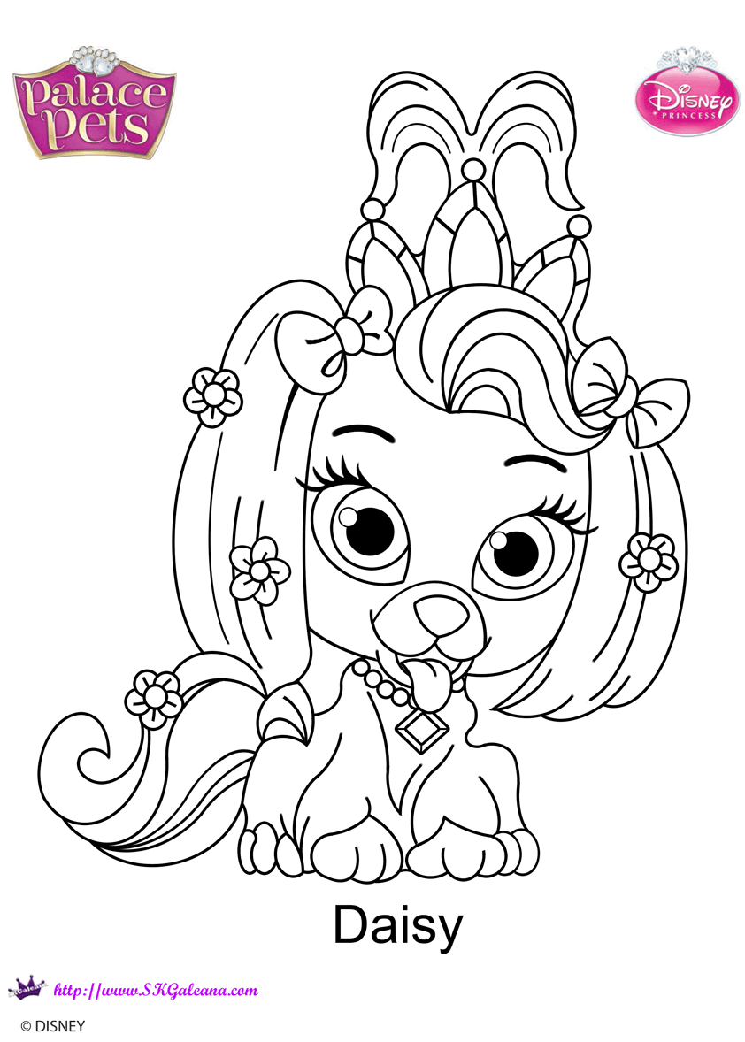 Palace Pets Daisy