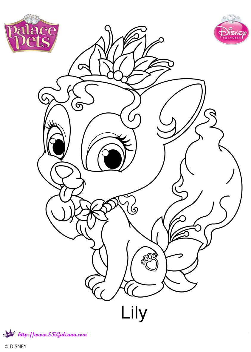Palace Pets Lily