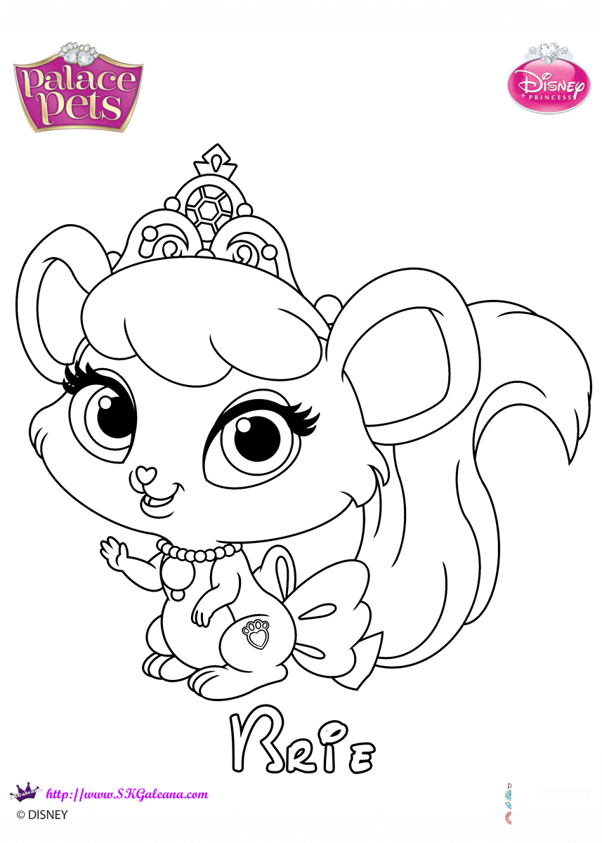Brie Princess