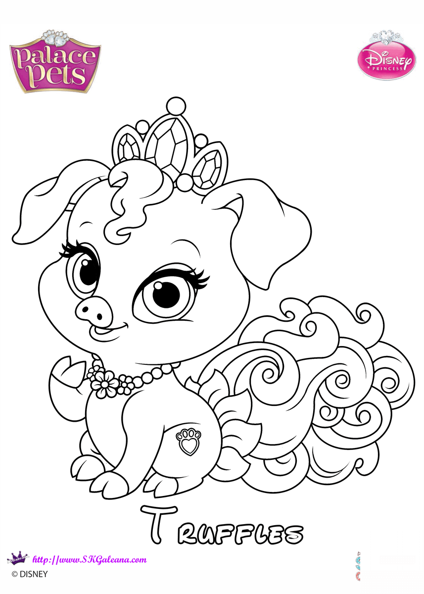 Truffles Princess