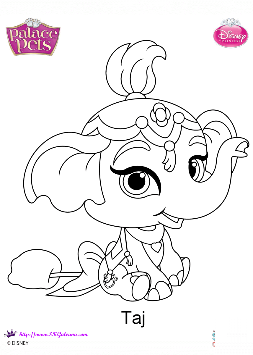 Palace Pets Taj