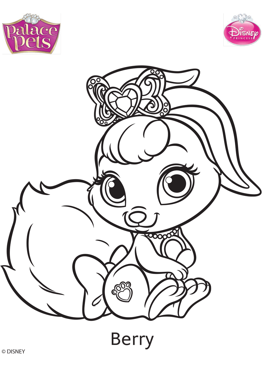 Palace Pets Berry