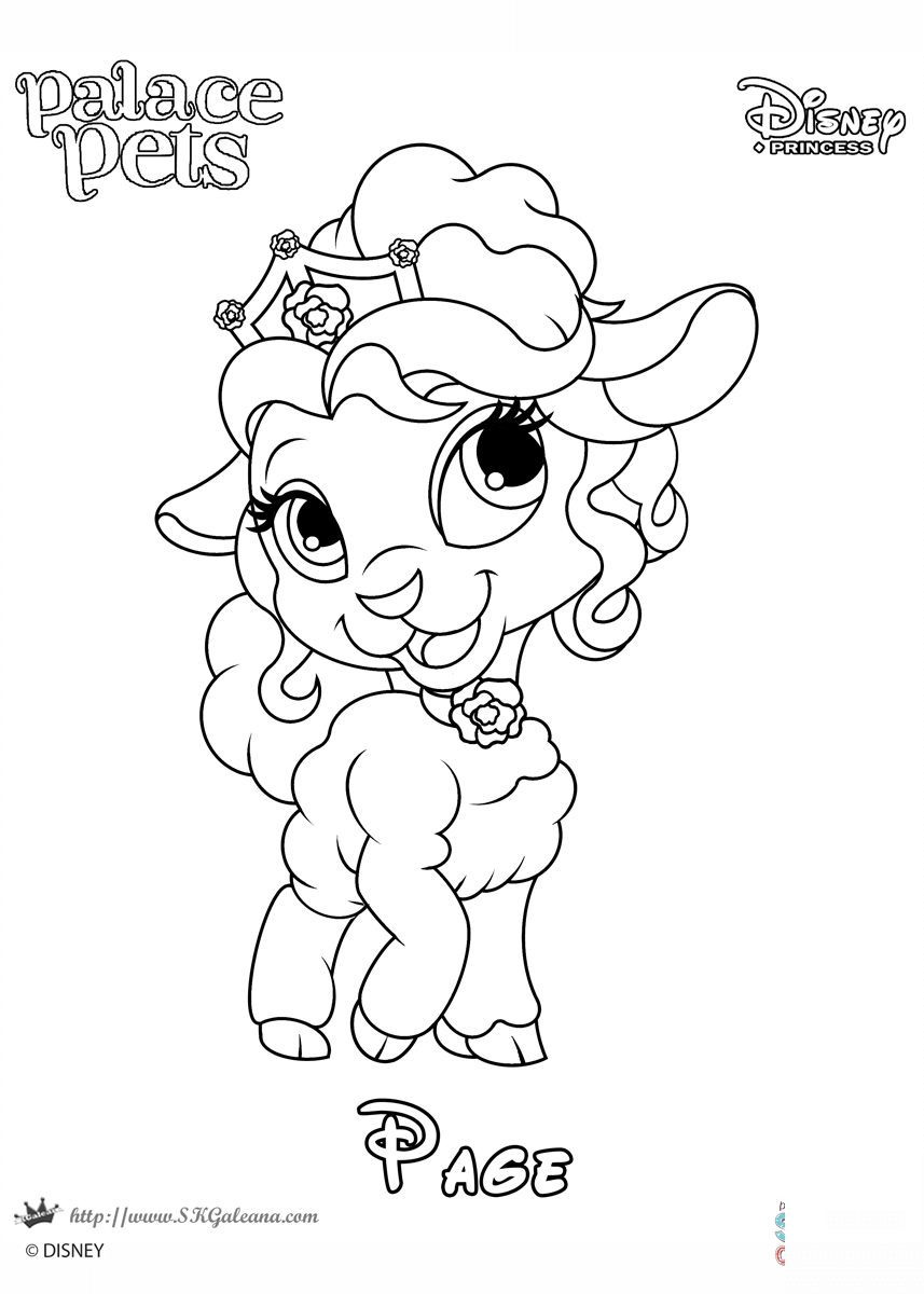 Page Princess