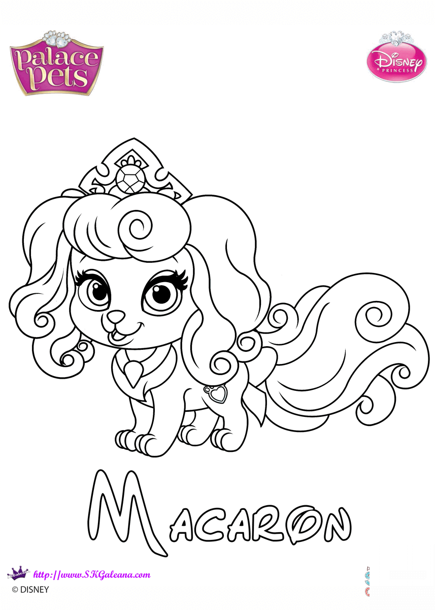 Macaron Princess