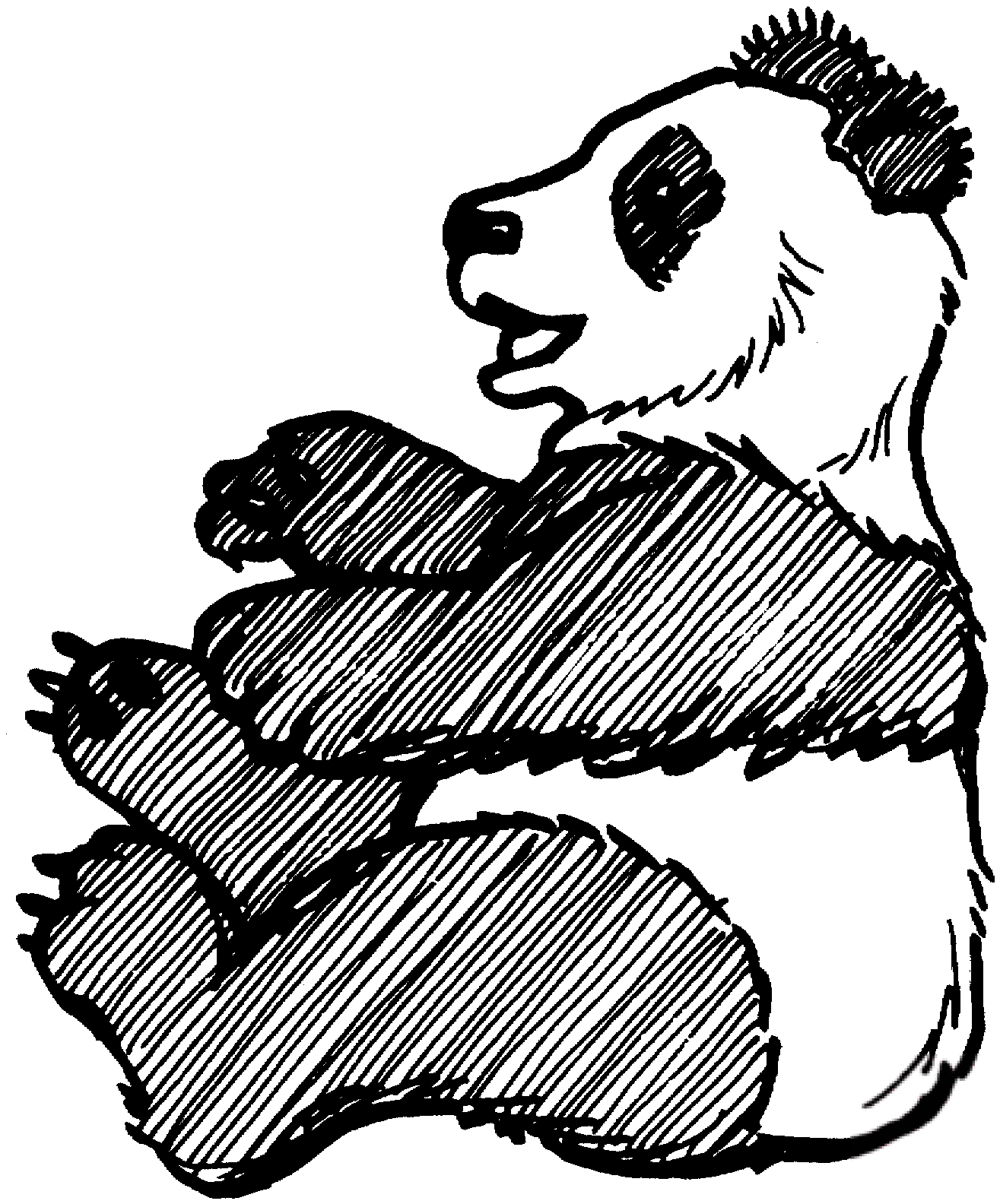 Siedząca panda wielka