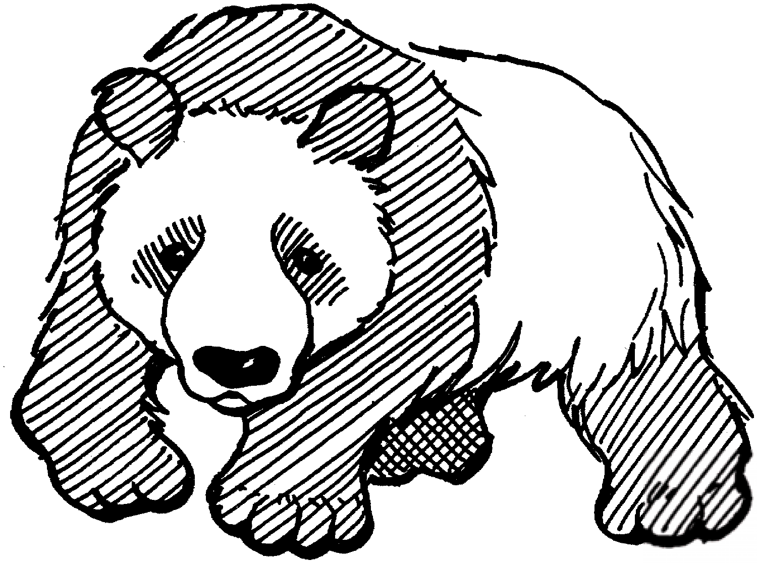 Panda wielka - zamieszkuje lasy...