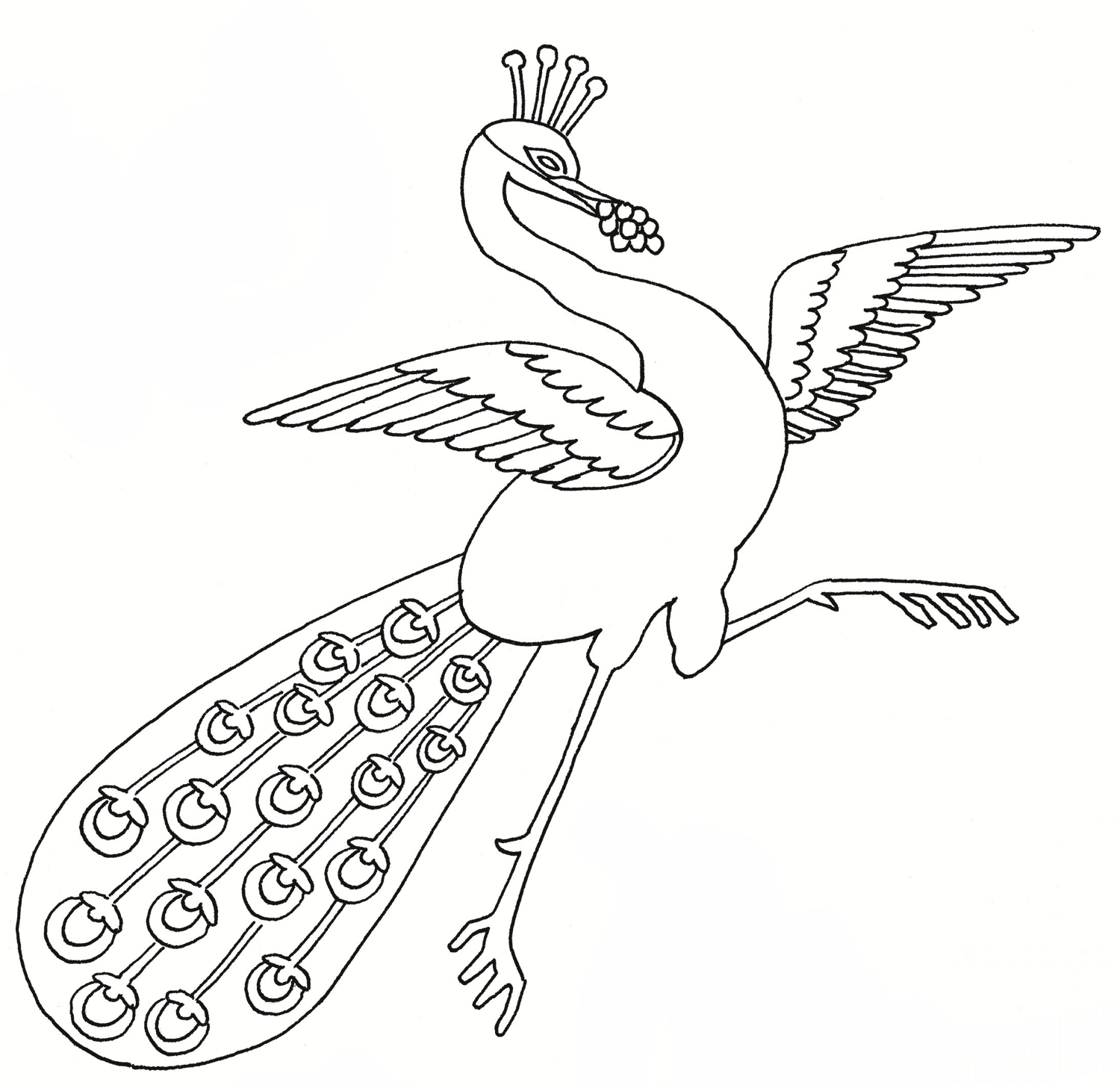 Dancing Peacock