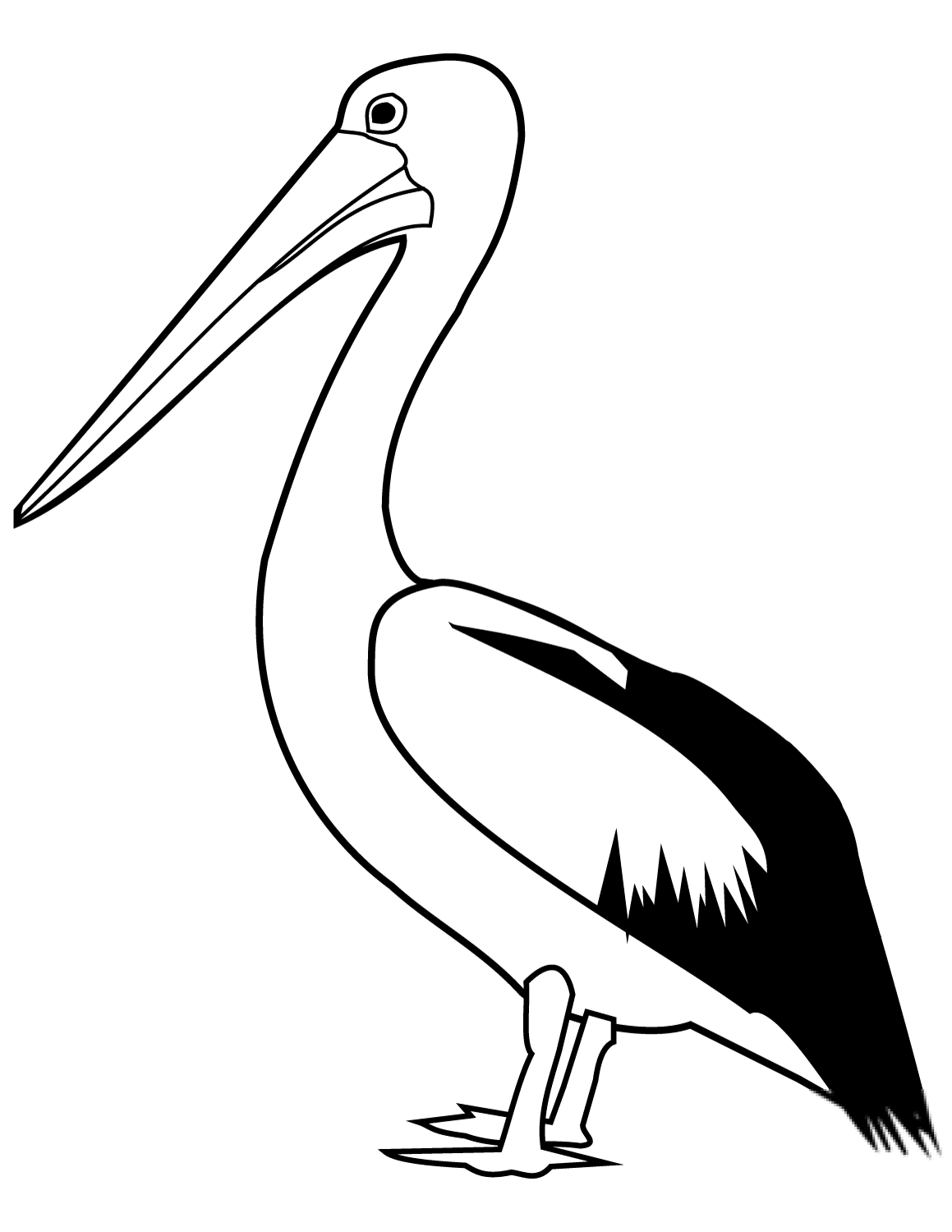 Pelikan