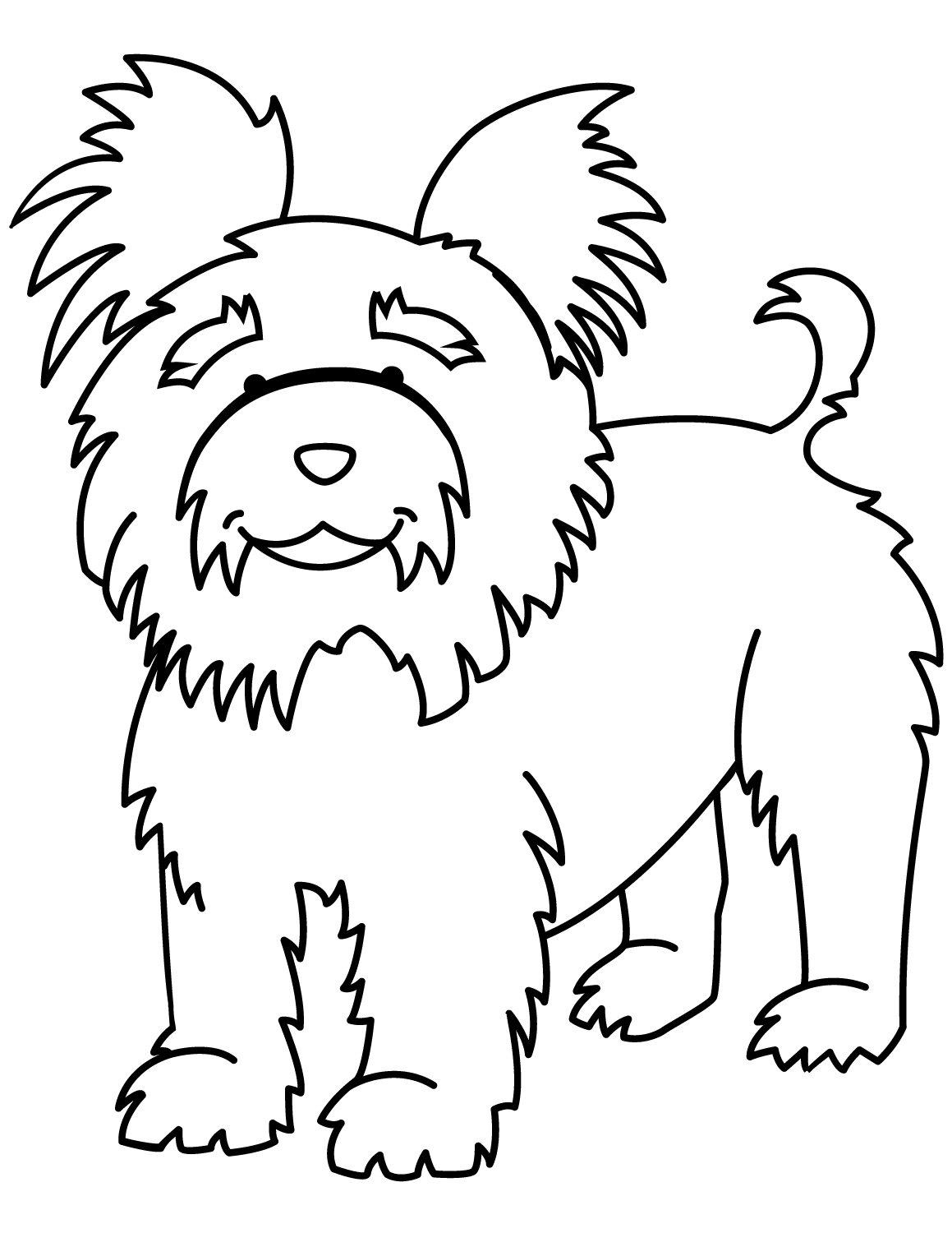 Funny Yorkshire Terrier