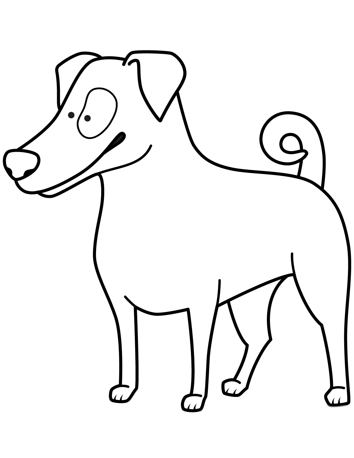 Funny Jack Russell Terrier