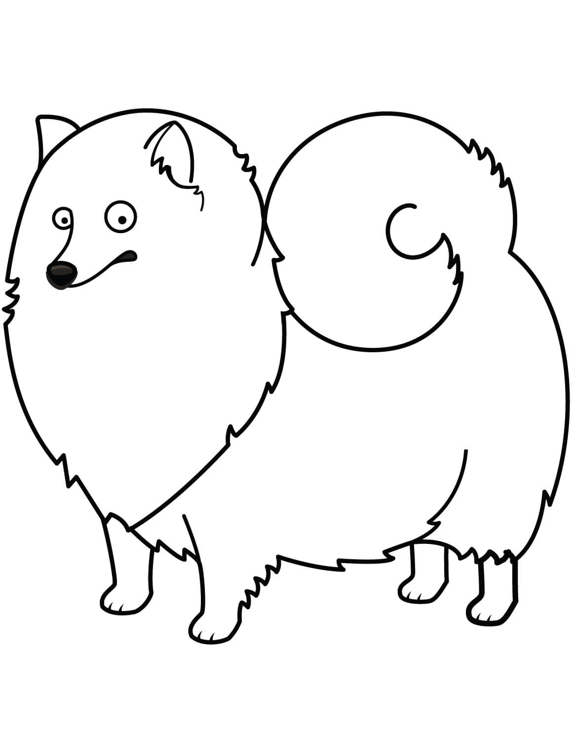 Funny Spitz