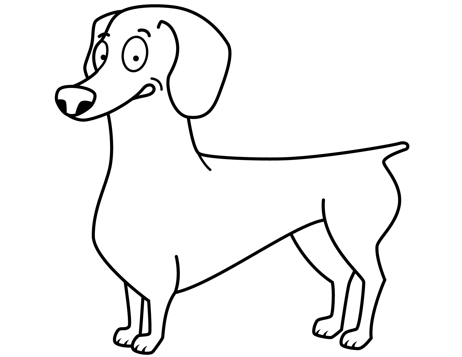 Funny Dachshund