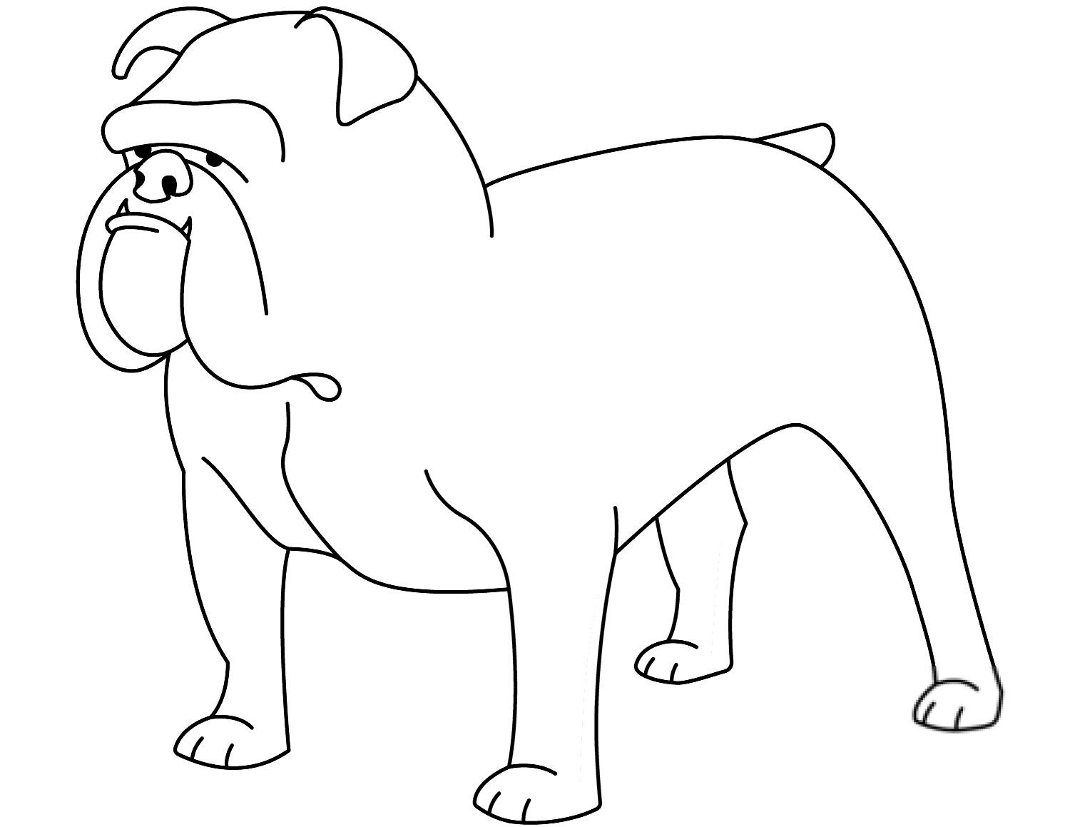 Funny Bulldog