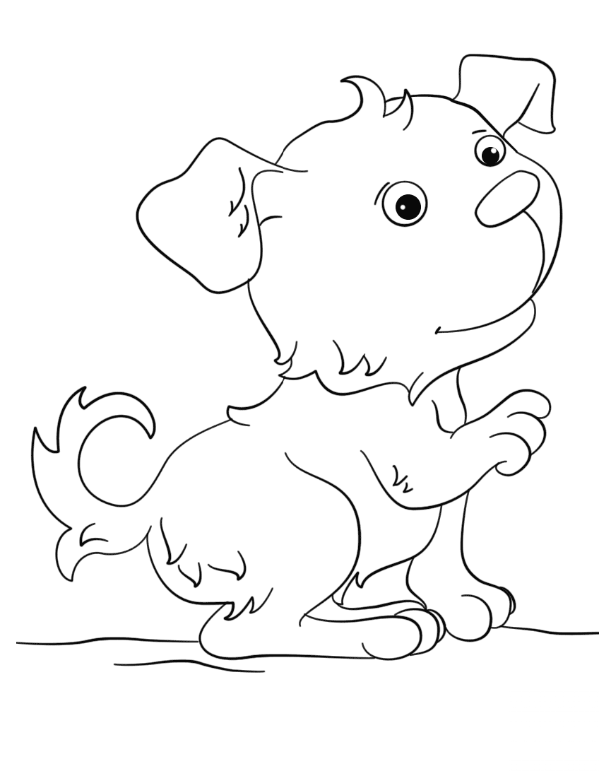 Lovely Puppy