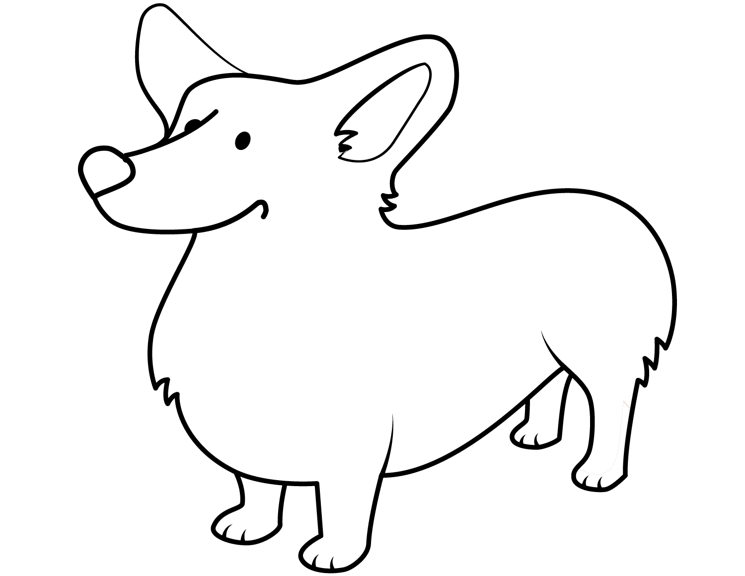 Funny Corgi