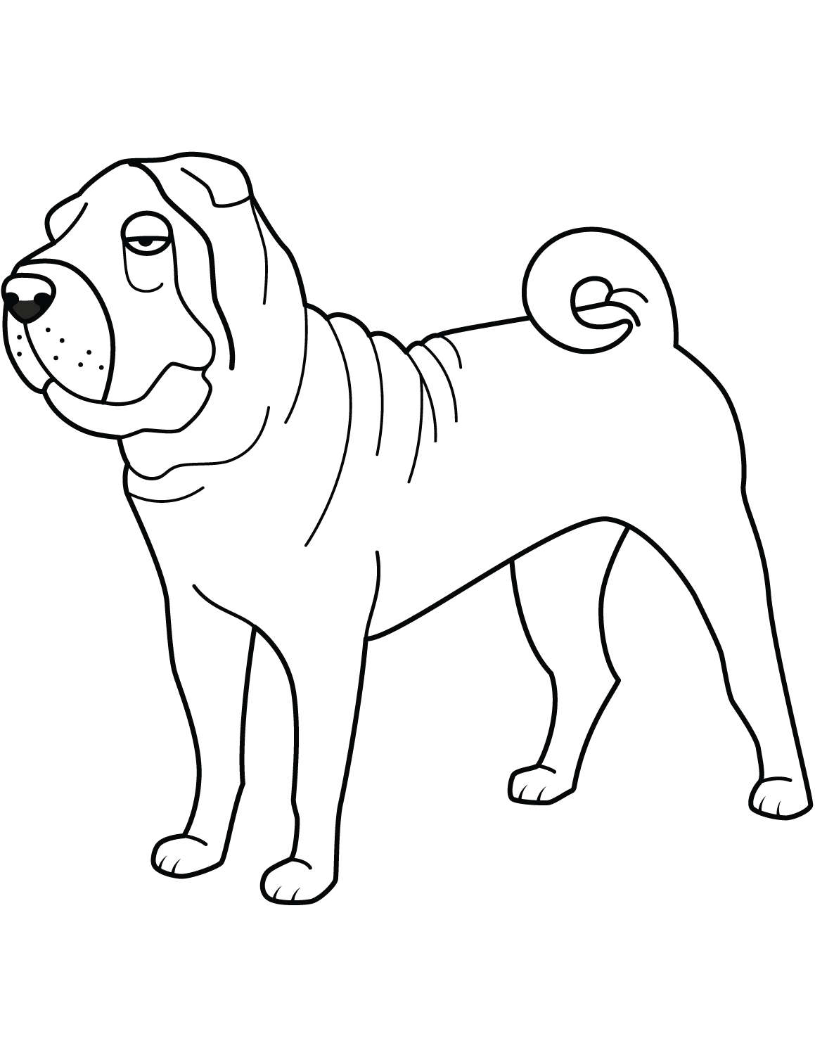 Funny Shar Pei