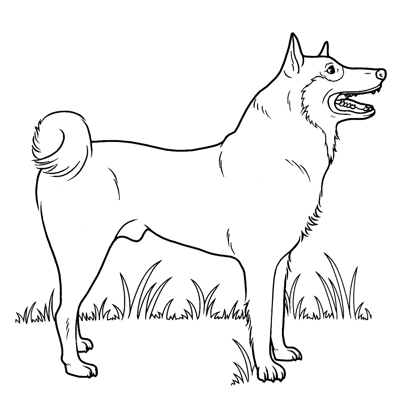 Kundelek