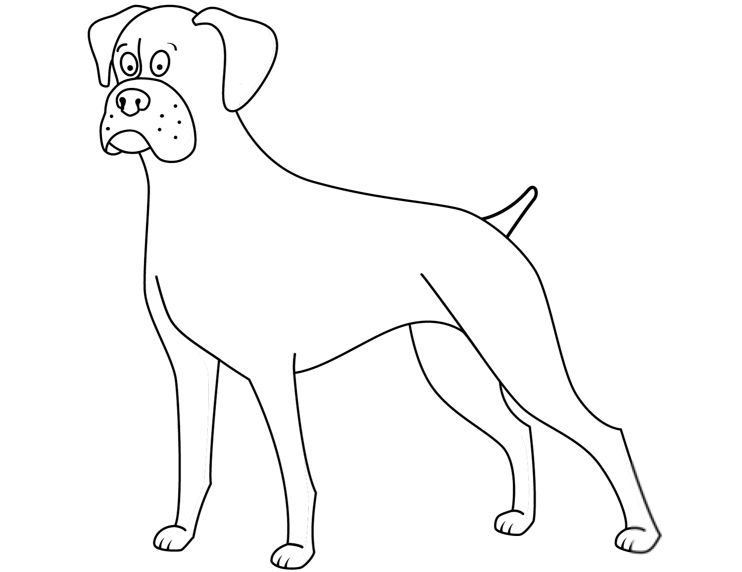 Funny Boxer