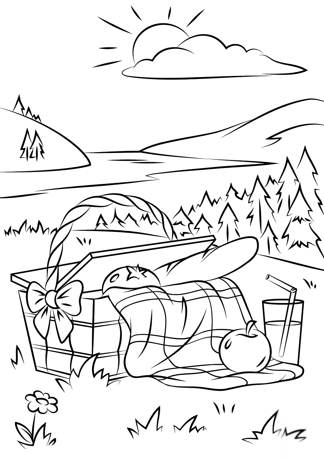Picnic Basket