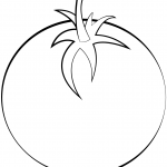 Pomidor