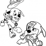 Marshall and Zuma