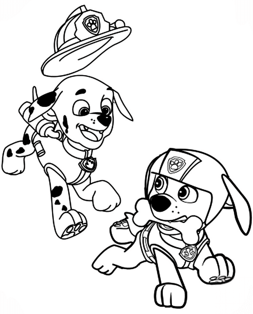 Marshall and Zuma