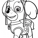 Psi patrol Skye