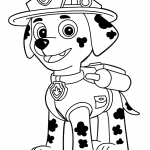 Psi patrol Marshall