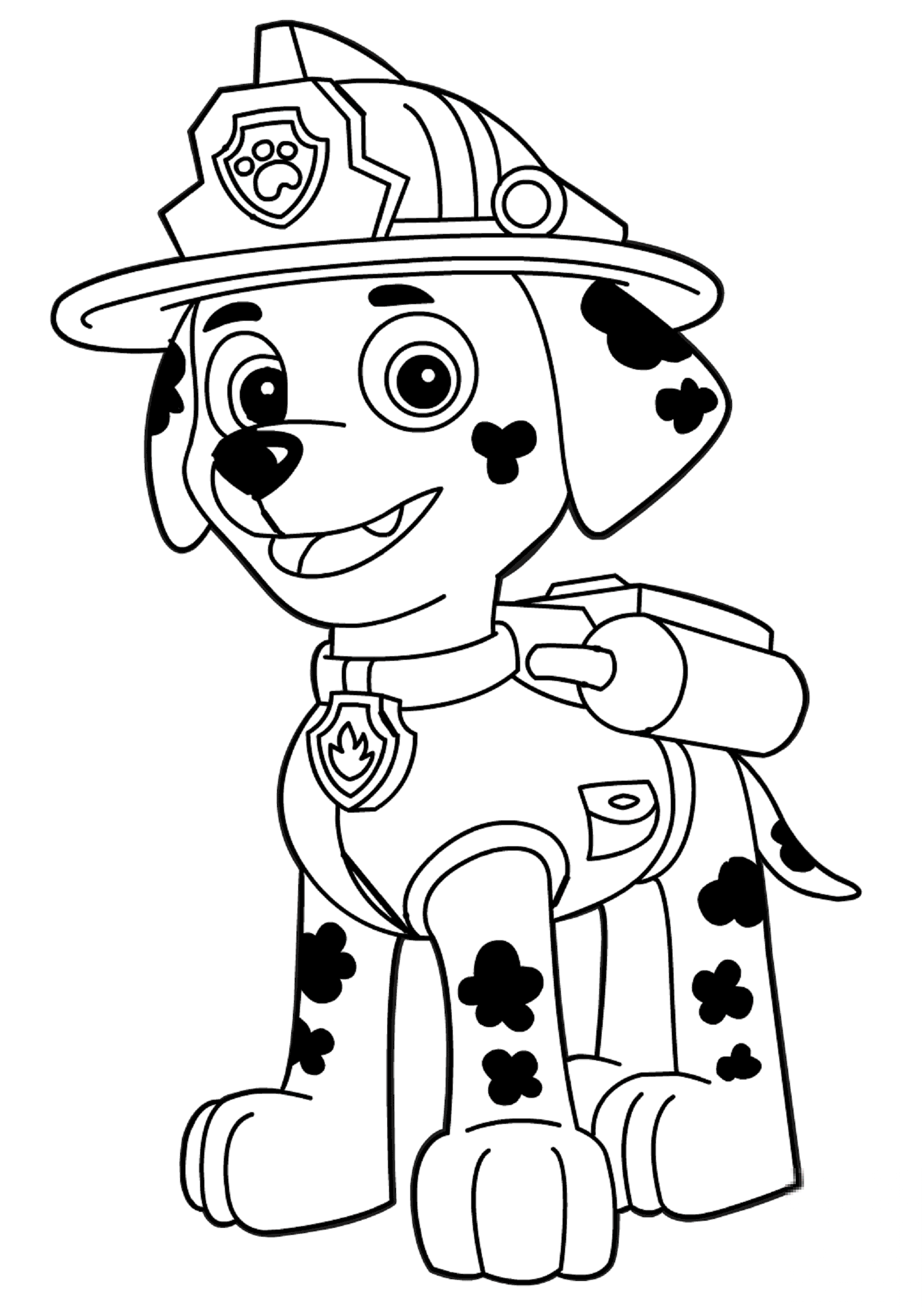 Psi patrol Marshall