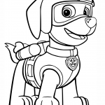 Zuma's Air Rescue Uniform