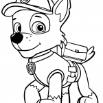Psi patrol Rocky
