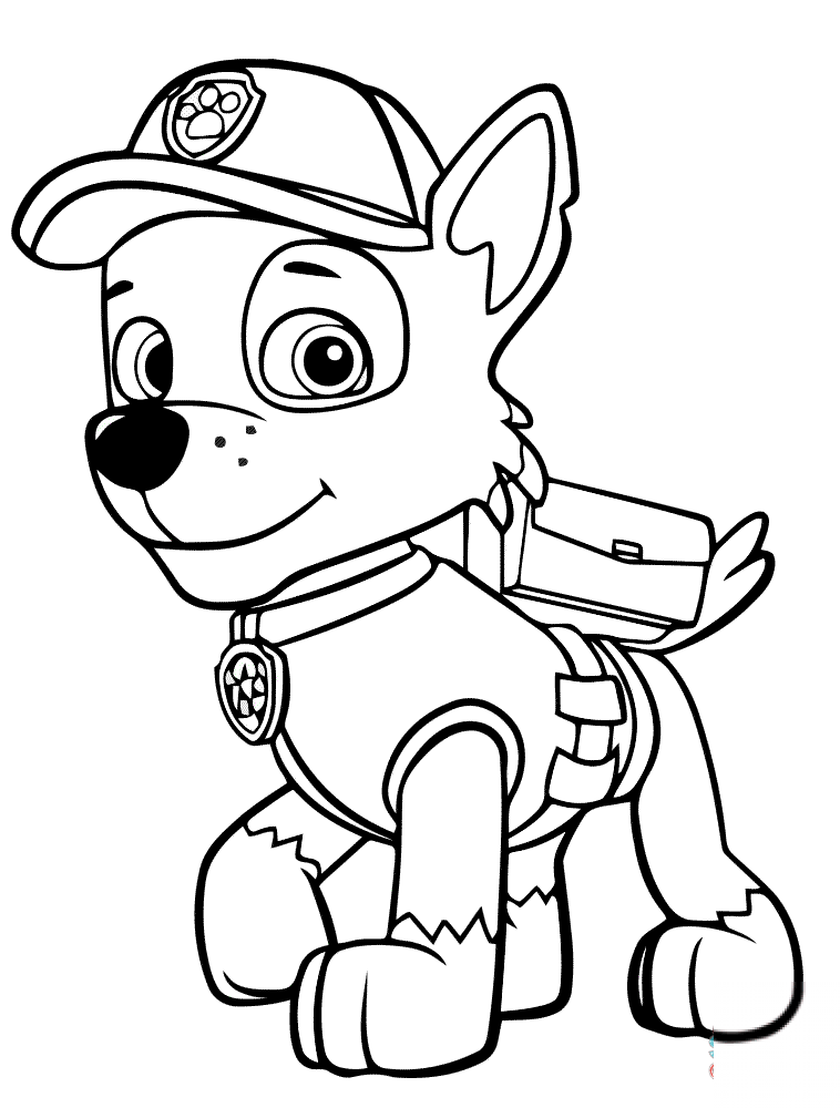 Psi patrol Rocky