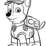 Psi patrol Chase