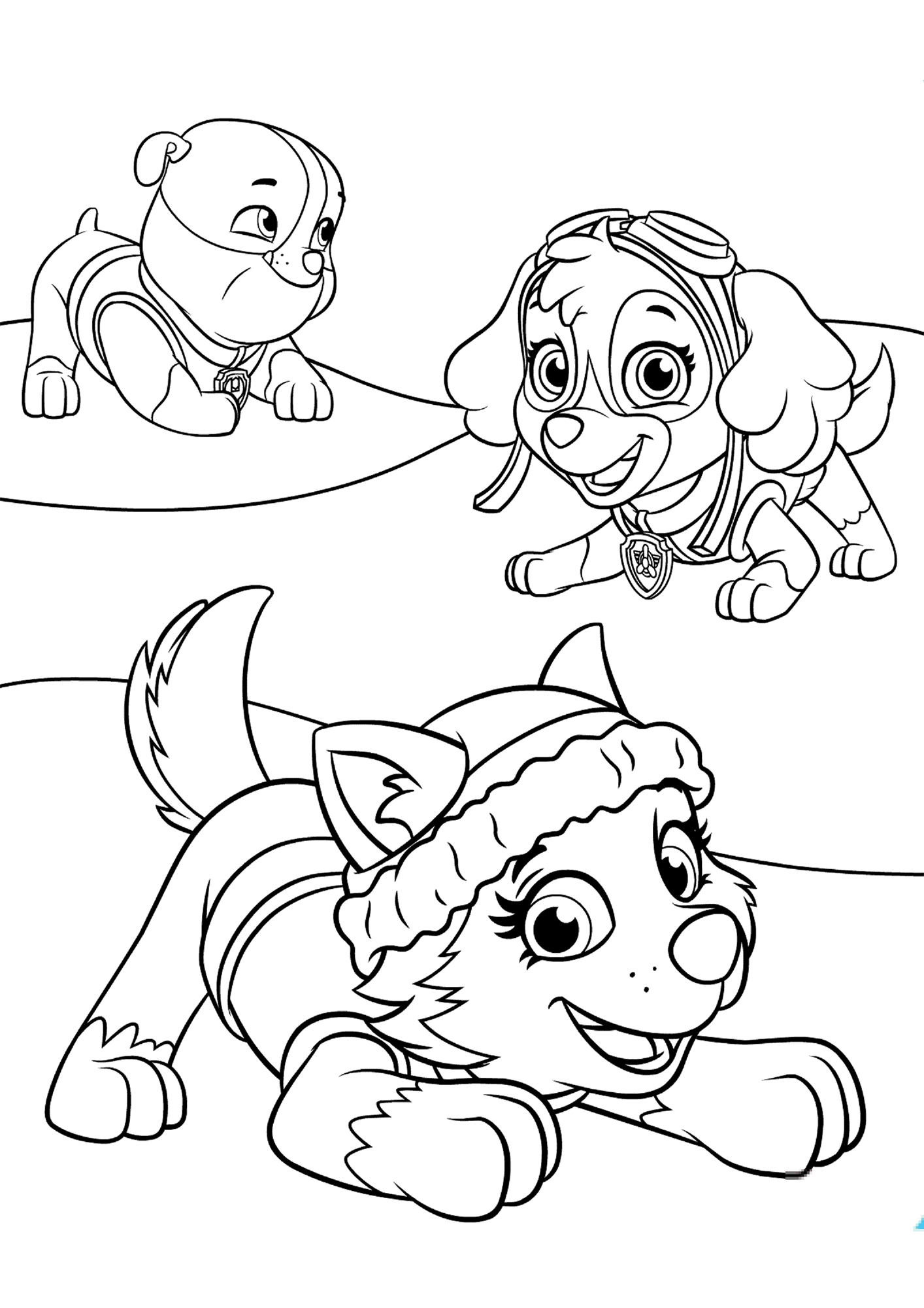 Everest Plays with Skye and Rubble