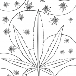 Psychedelic Weed