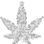 Marihuana