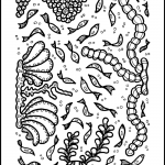 Psychedelic Pattern