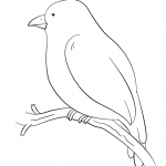 Bird Perching on a Tree Branch